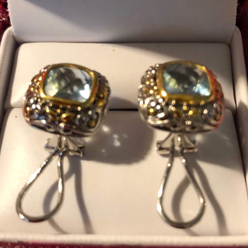 Earrings